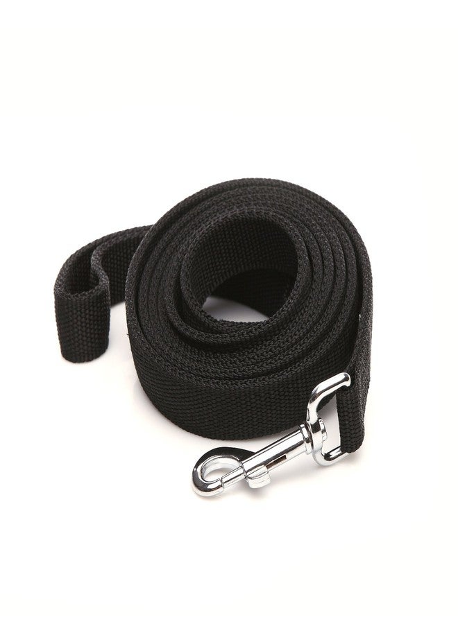 Taida Strong Nylon Dog Leash for Medium Large Dogs, 6 FT/7FT 2-Layer, 1 Inch Wide (Black, 1'' x 2 FT) - Image 1
